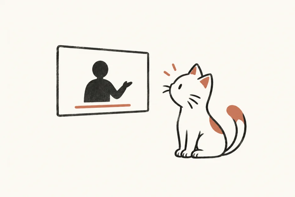 The arel cat listening to a video with a caption line